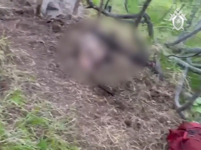Неуловимый медведь из Магадана совершил новое нападение, убита женщина