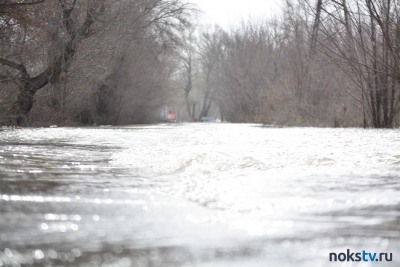 В Алтайском крае из-за паводка подтоплены более 120 домов