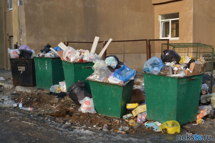 В администрации Новотроицка объяснили, почему с мусорных площадок не вывозились отходы