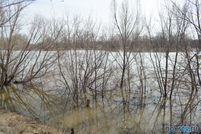 Уровень воды в реке Урал в Оренбурге за сутки вырос на 16 см