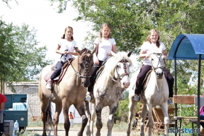 31 августа отмечается лошадиный праздник