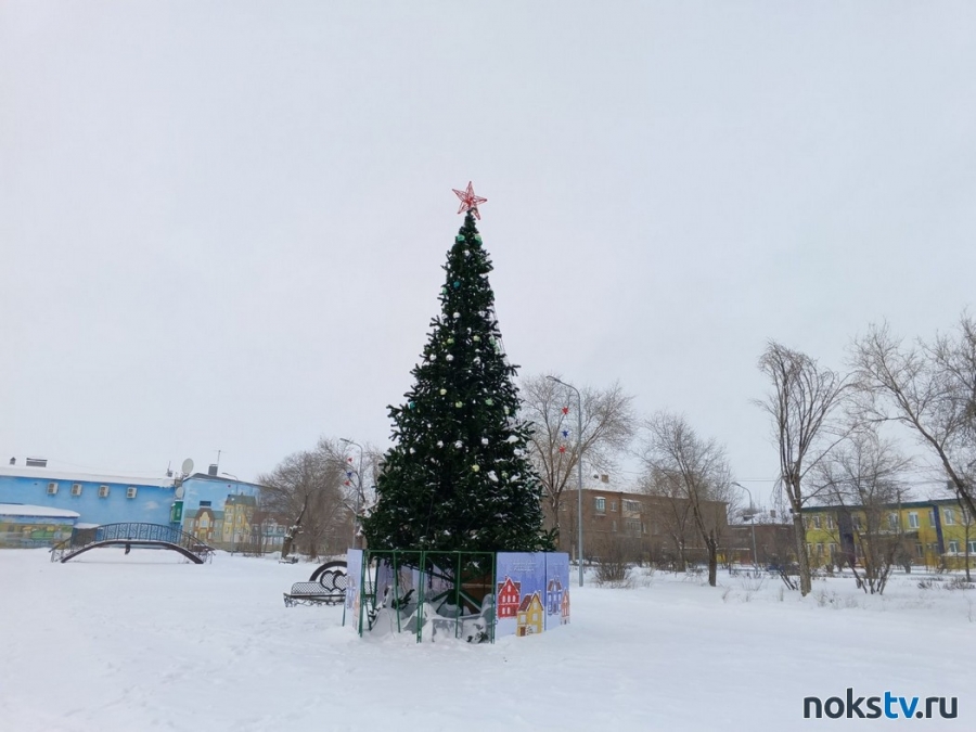 В Новотроицке вандалы повредили новогоднюю елку