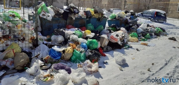 На Мичурина не вывозят мусор