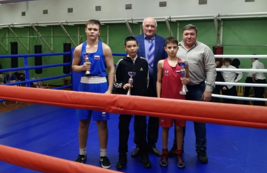 Новотройчане завоевали награды на турнире по боксу