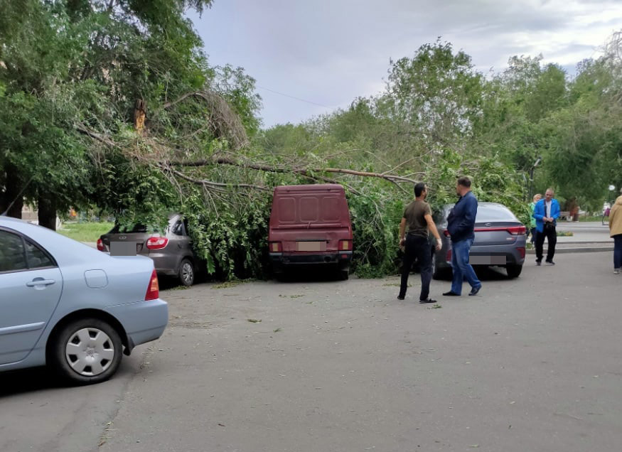В Новотроицке из-за ураганного ветра дерево упало на три машины