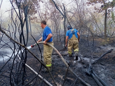 В Оренбуржье продолжается борьба с природным пожаром