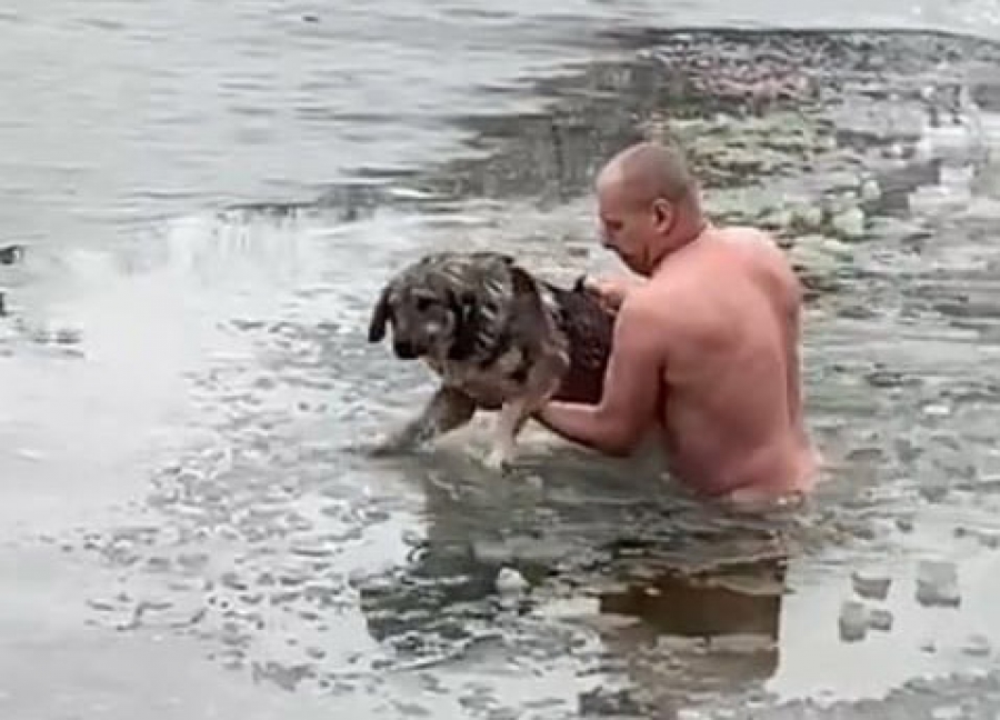 Мужчина спас провалившуюся под лед собаку