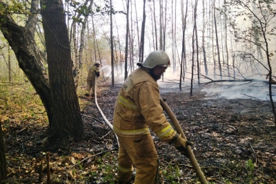 В Бузулукском бору на границе Оренбургской и Самарской областей произошел крупный пожар