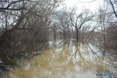 Уровень воды у города Ишим в Тюменской области поднялся еще на 140 сантиметров