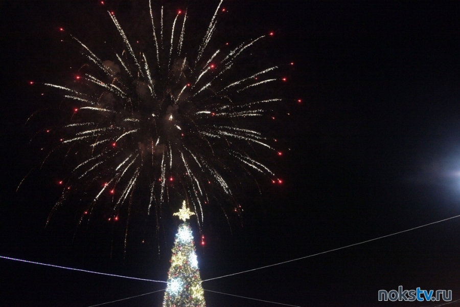 Открытие новогодних елок и ледового городка. Стали известны даты праздничных мероприятий в Новотроицке