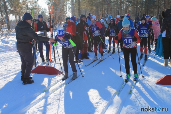 Новотройчане завоевали награды на Кубке области по лыжным гонкам