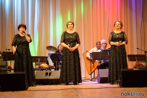 Творческий коллектив «Сударушка» отметил юбилей концертом