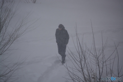По Оренбуржью ударят мороз, снегопад и метель