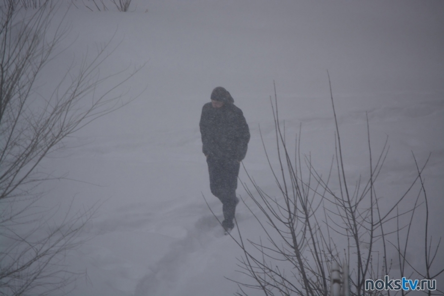 По Оренбуржью ударят мороз, снегопад и метель