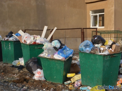 ООО «Природа» не смогла определить постоянного подрядчика по вывозу мусора в Новотроицке