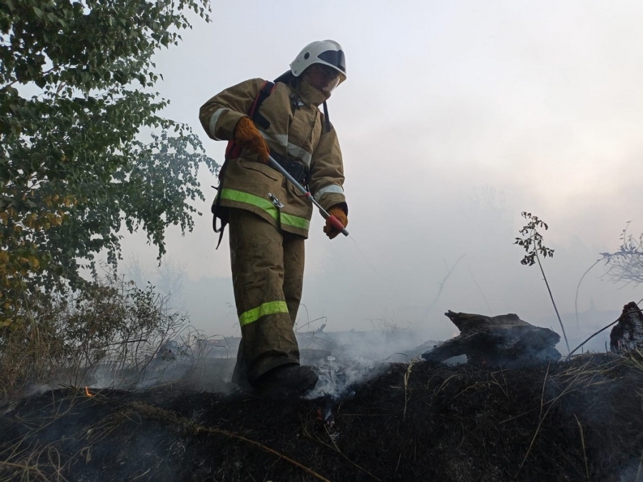 В Оренбургской области огнеборцы ликвидируют очаги сильного природного пожара (Фото)