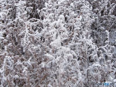Аномальное понижение температуры в Оренбургской области