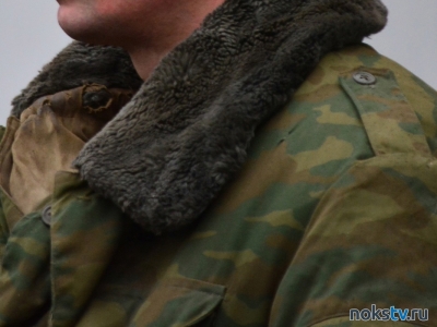 В ряды российской армии отправились еще два новотройчанина