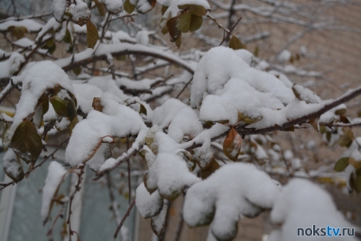 На Оренбургскую область обрушится сильный снегопад