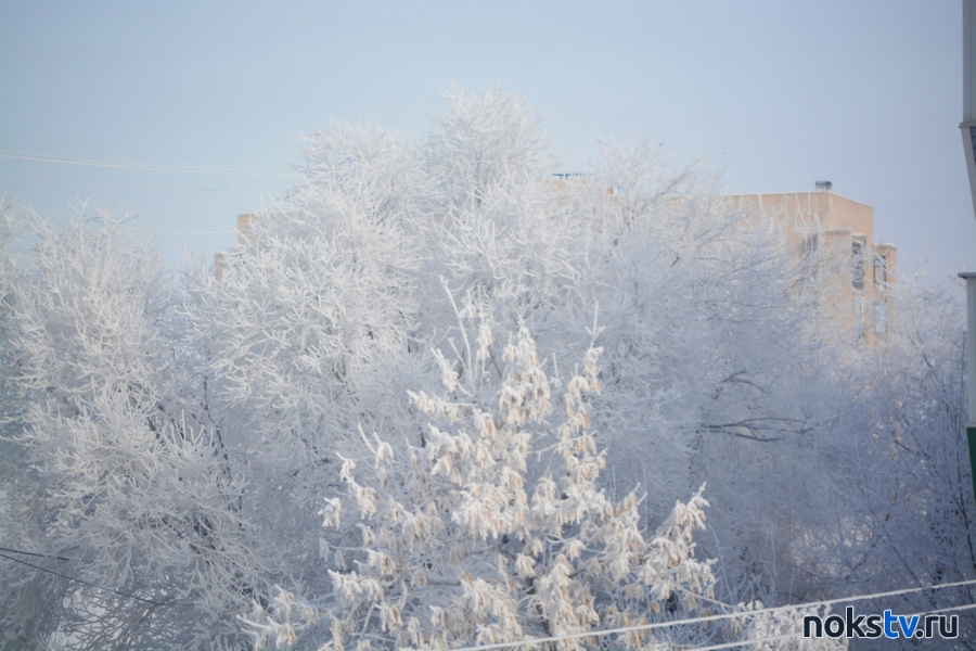 Синоптики прогнозируют туманы и сильные морозы в Оренбуржье