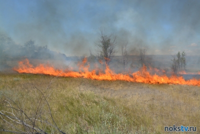 В Новосергиевском районе при тушении пожара погиб человек