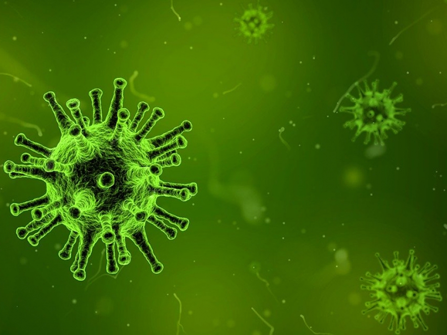 В Оренбуржье в 17 раз снизилось число заражений энтеровирусами