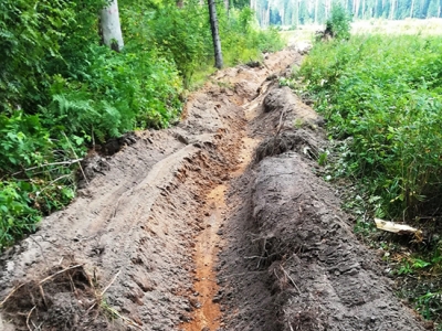 В Оренбуржье начали подготовку почвы к посадке новых лесов