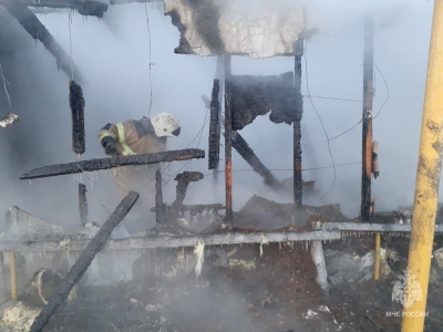 На пожаре в Оренбуржье погибли два человека