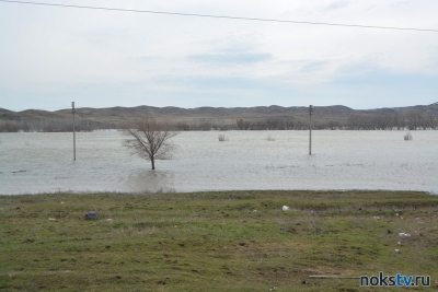 Правительство: паводок в Оренбуржье идет на спад