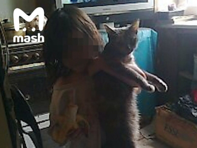 В Подмосковье нашли девочку-маугли, которая жила вместе с 19-ю кошками (Видео)