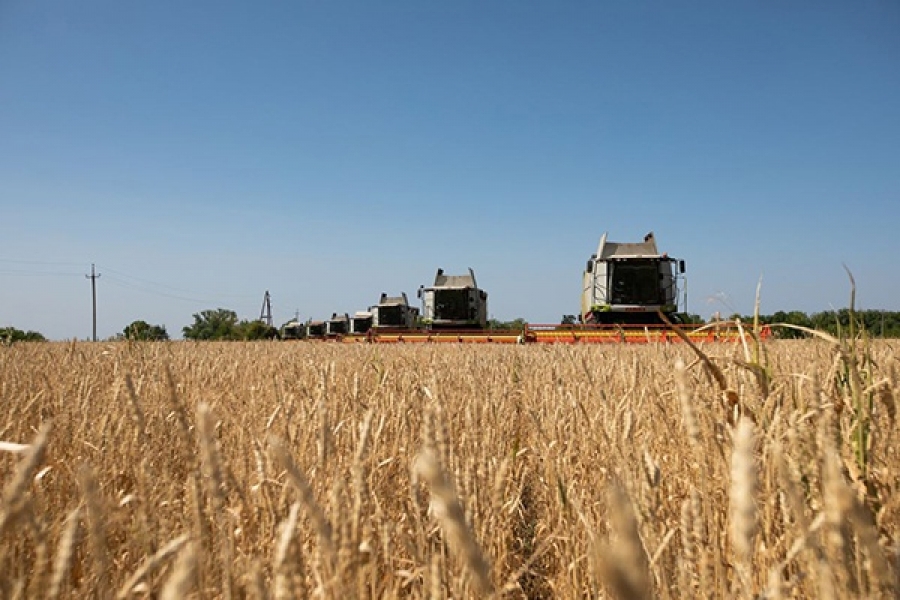 Россия безвозмездно передала Зимбабве пшеницу и удобрения