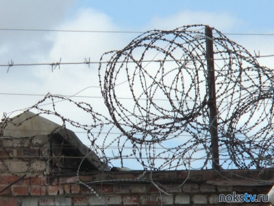 В России предложили заменить трудовых мигрантов заключёнными