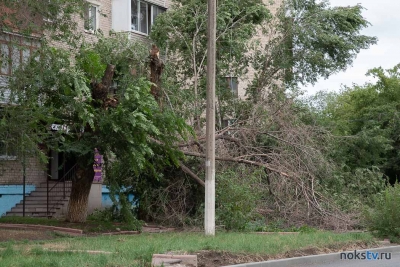 Сломанные деревья и оборванные провода: последствия бури в Новотроицке