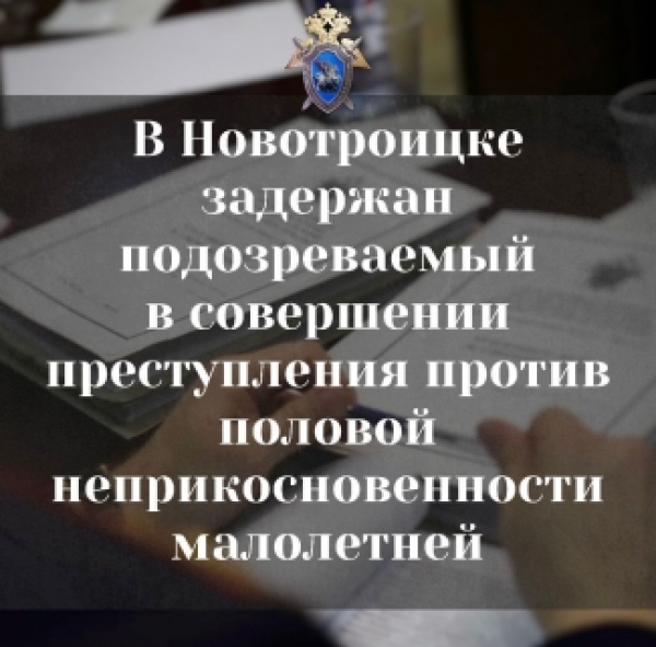 В Новотроицке задержан мужчина по подозрению в изнасиловании 9-летней школьницы. Официальный комментарий СК