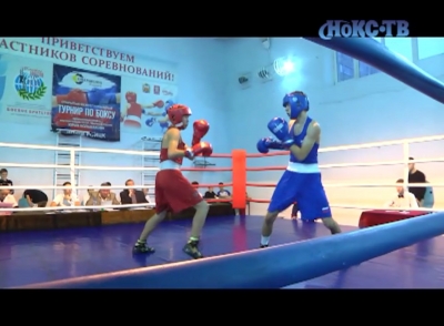 Турнир по боксу памяти Юрия Большакова прошел в Новотроицке