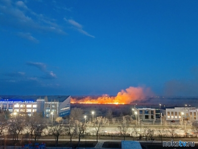 В Новотроицке за бассейном «Волна» загорелось поле