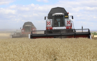 В Оренбургской области урожай зерновых убран с 66% площадей