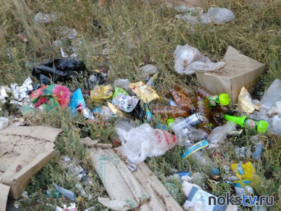 Новотройчан призывают не выбрасывать бытовой мусор в лесопосадки