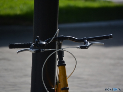 Найденный на улице велосипед привел новотройчанина на скамью подсудимых