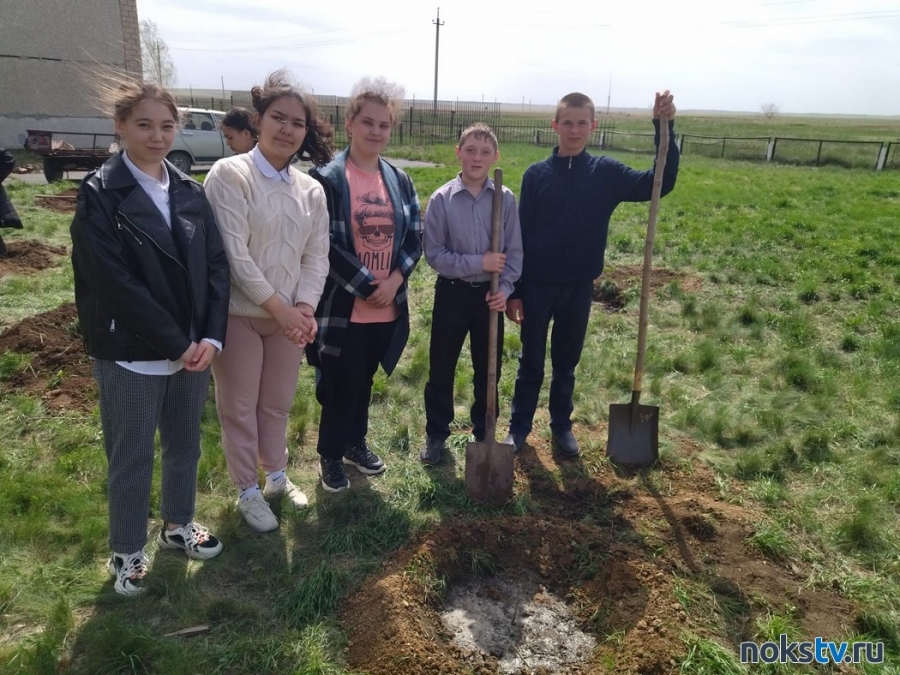 Школьники приняли участие в акции «Сад Памяти»