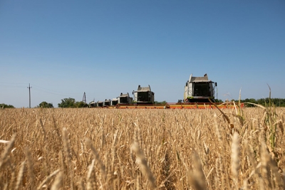 В Оренбуржье собрано 3 миллиона тонн зерна
