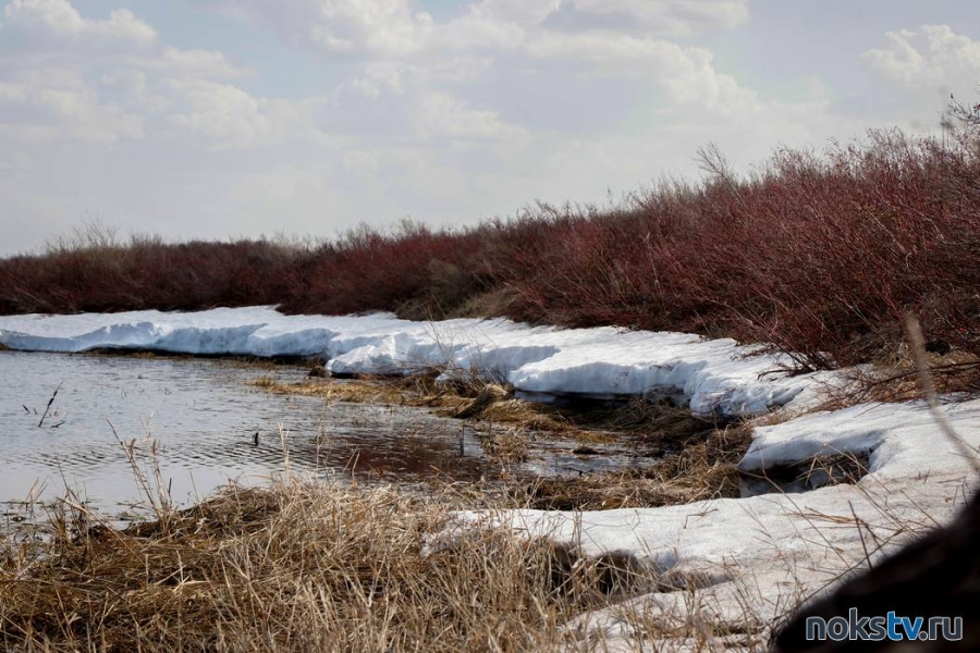 В Оренбургской области ожидается теплый март