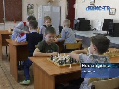 Новотроицкие шахматисты завоевали медали в Кубке будущих чемпионов