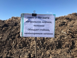 В Тюменской области свалку птичьего помёта назвали в честь бывшего чиновника (Фото)