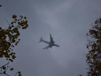 В Оренбурге из-за густого тумана появились проблемы с посадкой самолетов