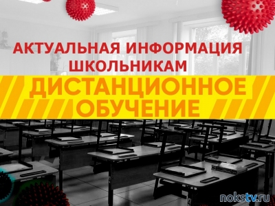 В Новотроицке школы и учреждения дополнительного образования переводятся на «удаленку»