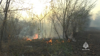 Огнеборцы ликвидировали крупный пожар в Бузулуке