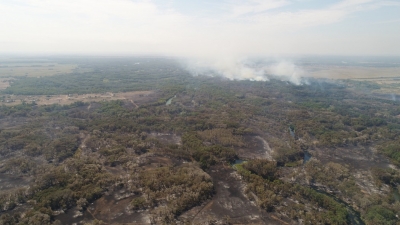 Лесной пожар в Ташлинской районе локализован