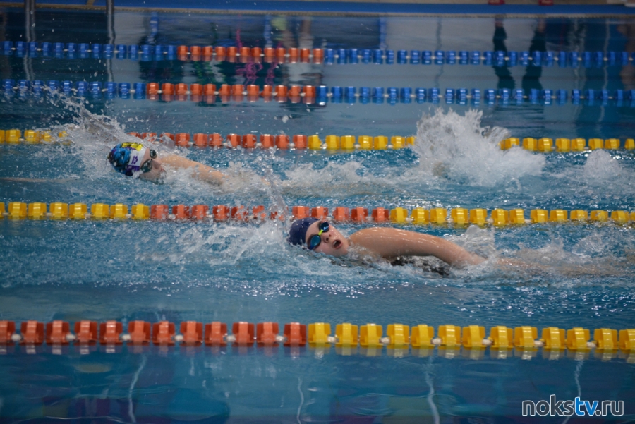 В Новотроицке проходят чемпионат и первенство Оренбургской области по плаванию