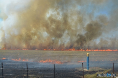 На территории семи муниципалитетов Оренбуржья фиксируется высокая пожарная опасность